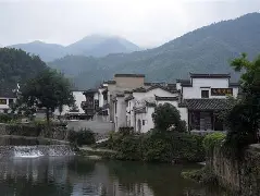 NG体育-关于徽州黑豹队对阵江汉鲸鲨队，电竞杯赛读秒绝平，门将神扑救主——门前嗅觉决定胜负的信息